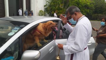 04/10/2021 Blessing of Pets